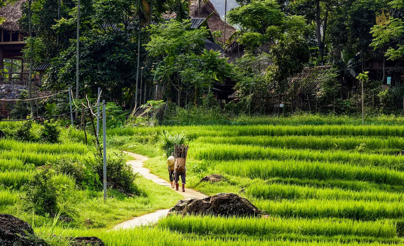 Authentic Vietnam 15-Day Journey: Ethnic Culture, Natural Landscapes & Mekong Delta Life